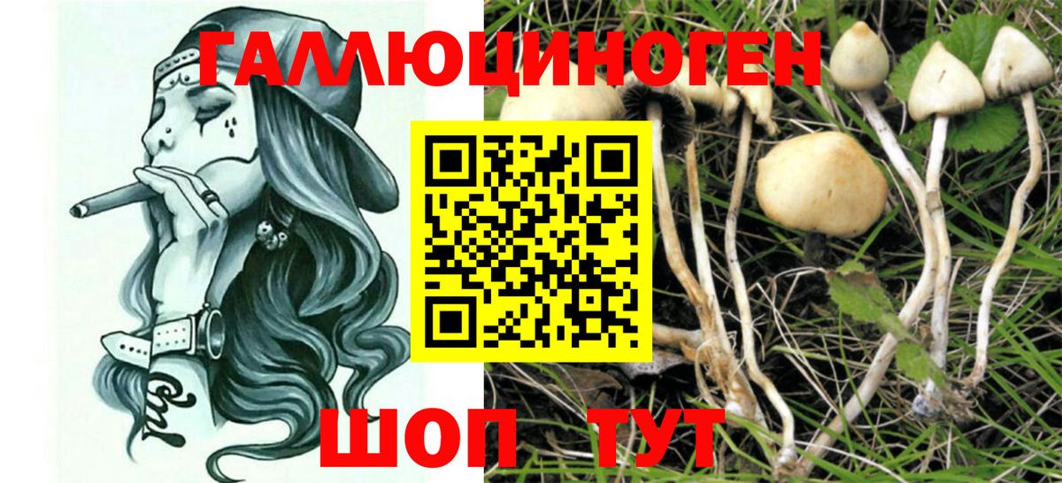 Галлюциногенные грибы MAGIC MUSHROOMS Зеленодольск